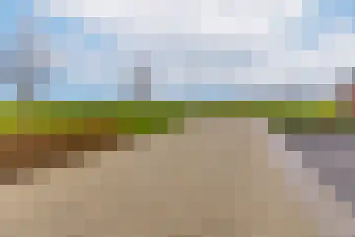 Zegge 24 Nieuw-Weerdinge thumbnail 6