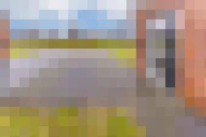 Zegge 24 Nieuw-Weerdinge thumbnail 7