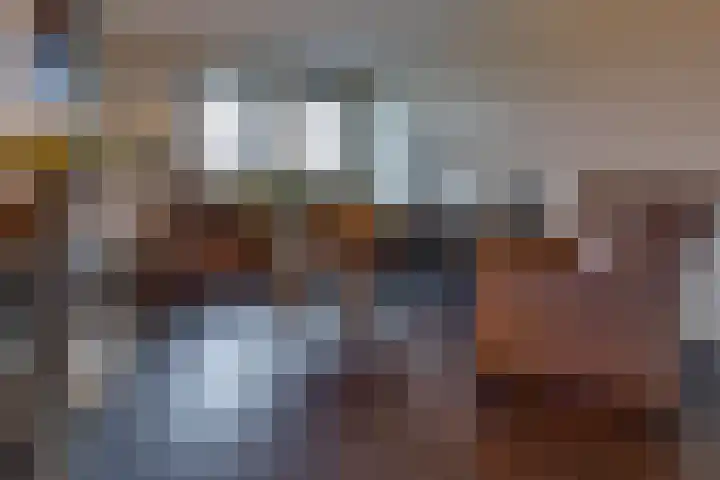 Zegge 24 Nieuw-Weerdinge thumbnail 8