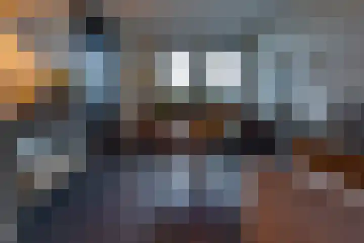Zegge 24 Nieuw-Weerdinge thumbnail 9