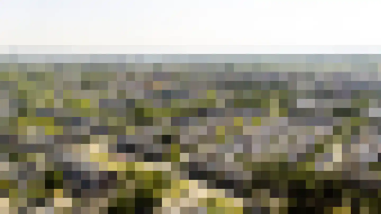 Zegge 24 Nootdorp thumbnail 24