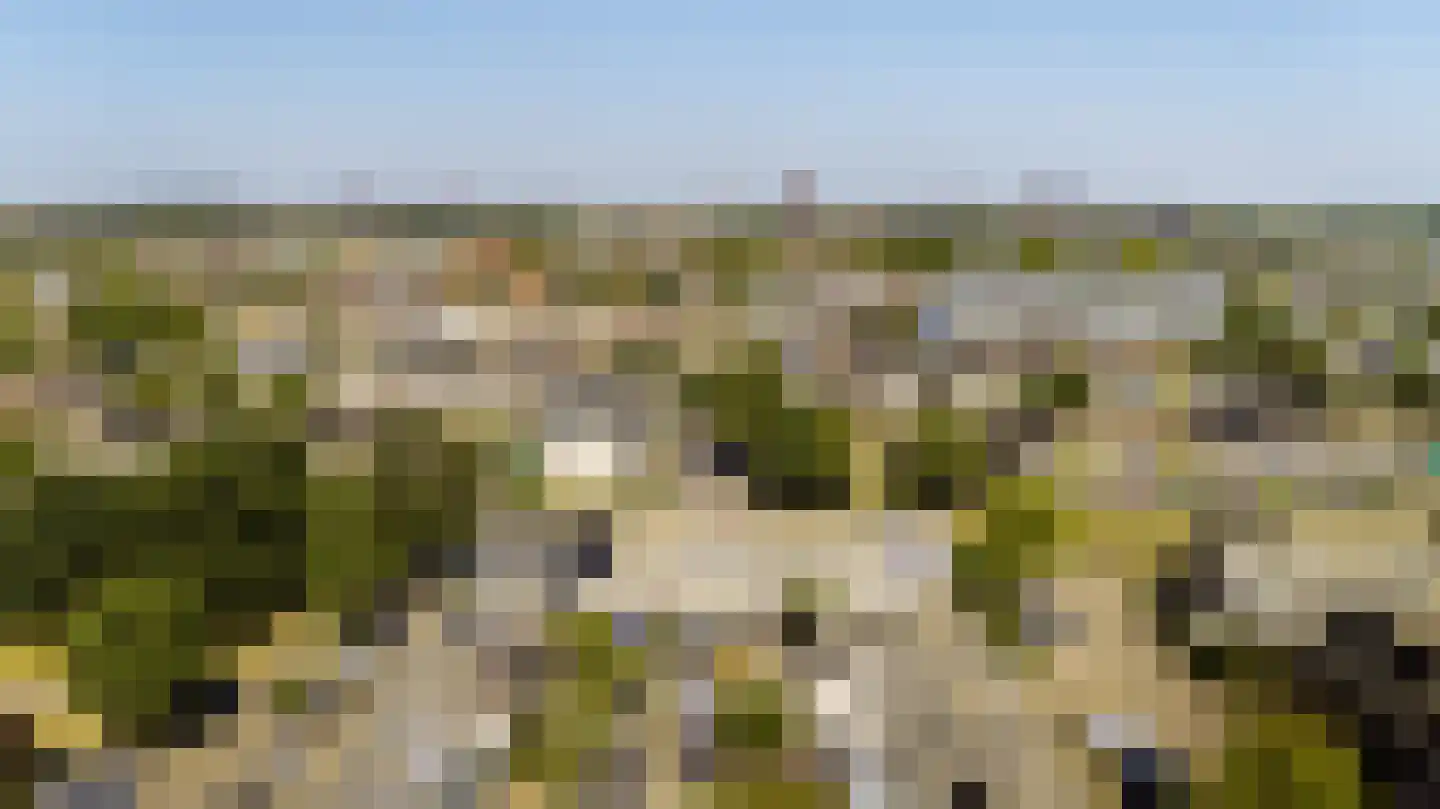 Zegge 24 Nootdorp thumbnail 25