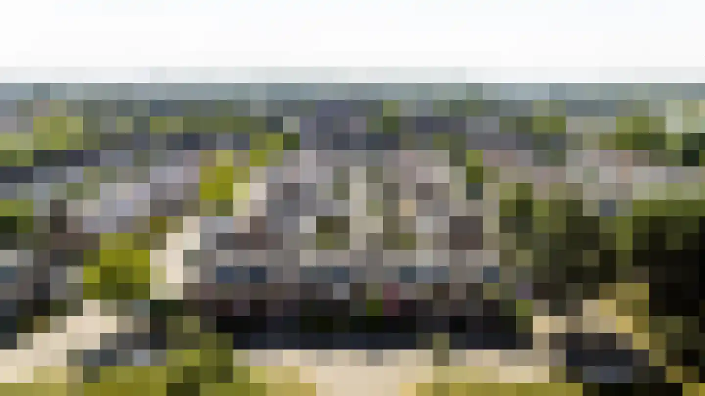 Zegge 24 Nootdorp thumbnail 27
