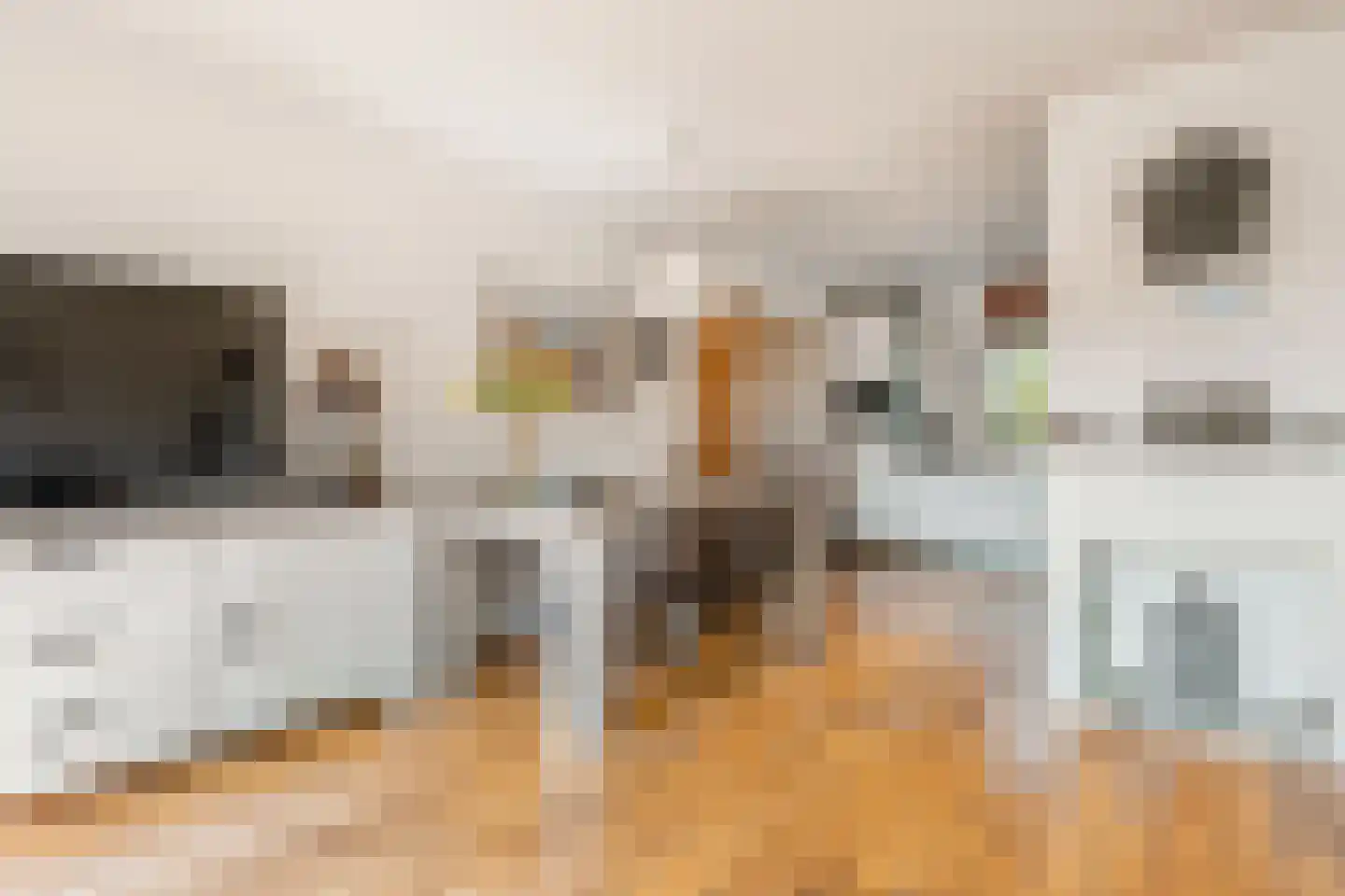 Zegge 24 Nootdorp thumbnail 8