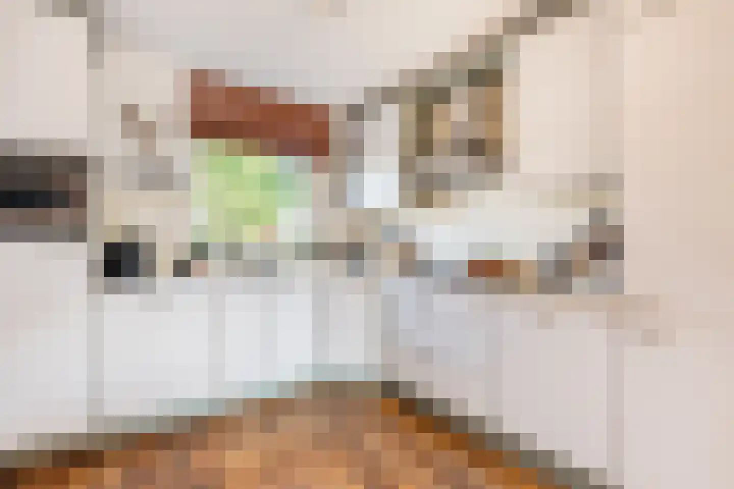 Zegge 24 Nootdorp thumbnail 9