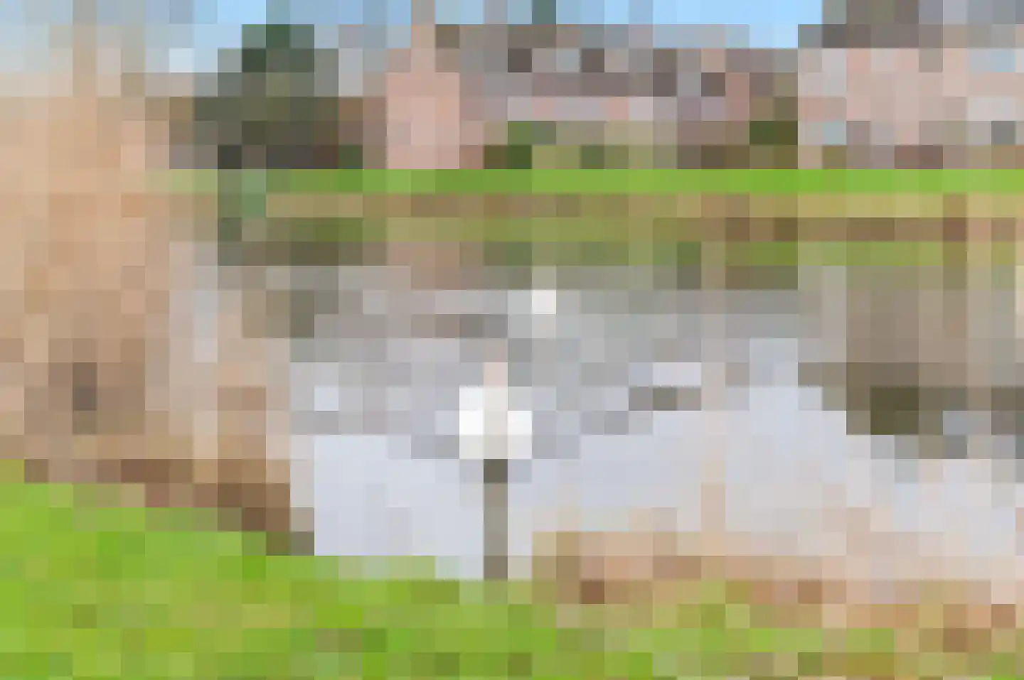 Zegge 4 Nootdorp thumbnail 37