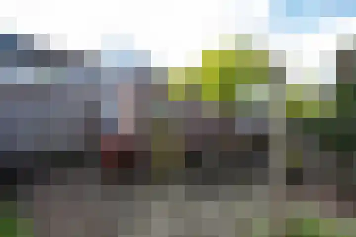 Zegge 40 Kampen thumbnail 30