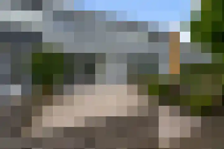 Zegge 85 in Uithoorn