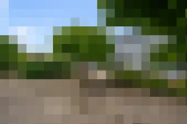 Zegge 85 Uithoorn thumbnail 27