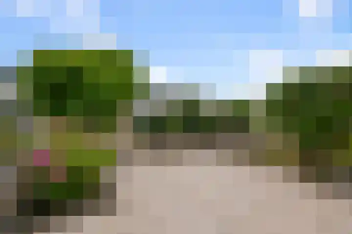 Zegge 85 Uithoorn thumbnail 31