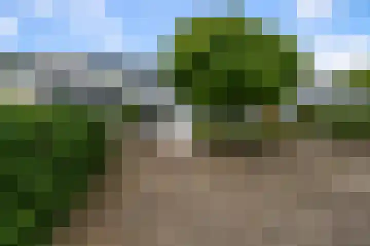Zegge 85 Uithoorn thumbnail 32