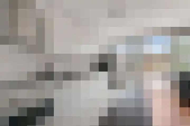 Zegge 85 Uithoorn thumbnail 8