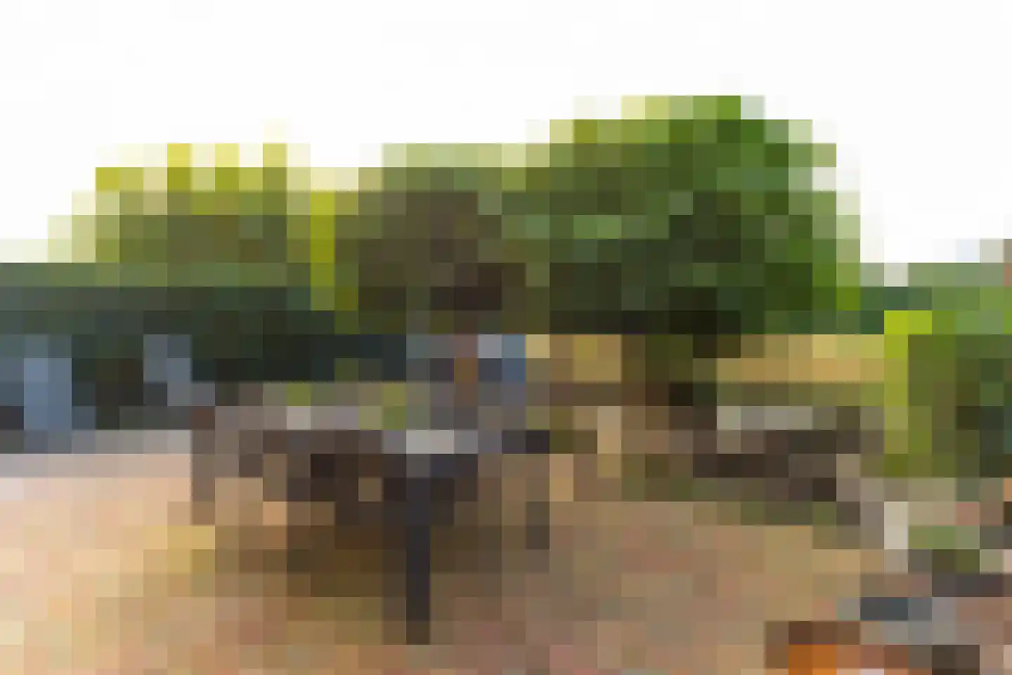 Zegge 9 Eemnes thumbnail 18