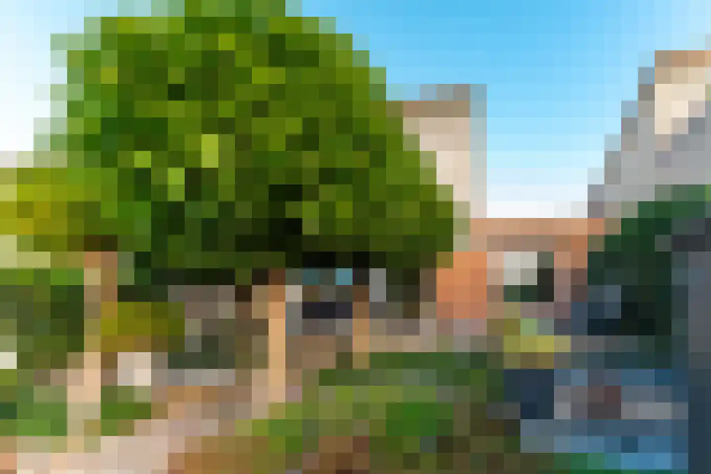 Zegge 9 Eemnes thumbnail 20