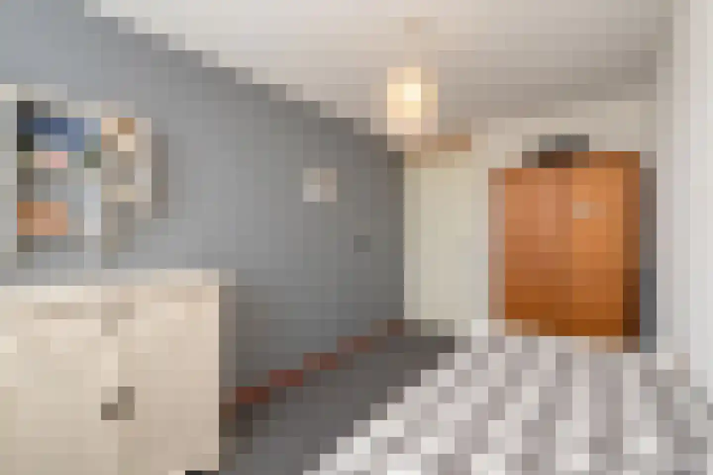 Zegge 9 Eemnes thumbnail 27
