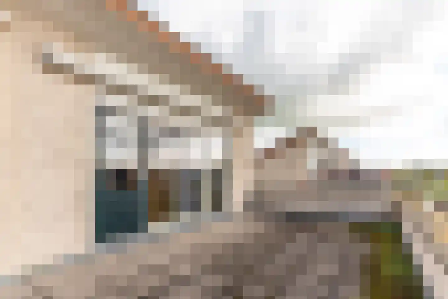 Zegge 9 Eemnes thumbnail 38
