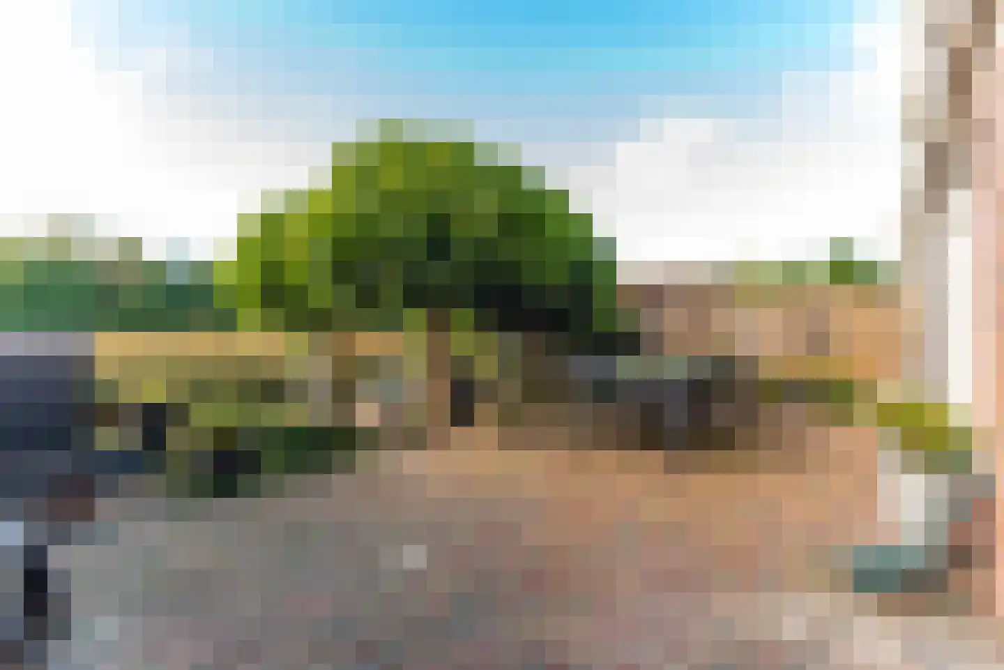 Zegge 9 Eemnes thumbnail 4