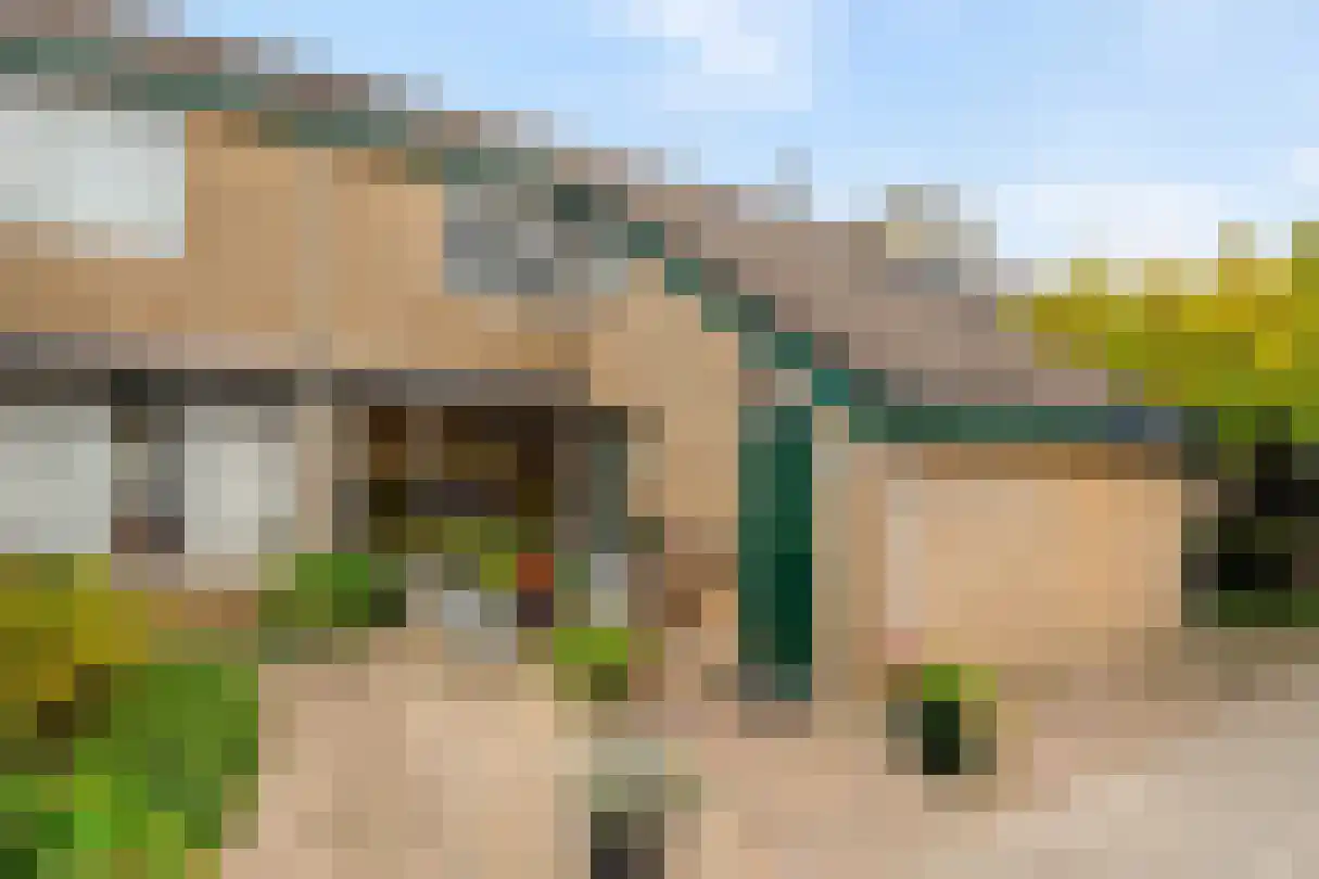 Zeggegors 15 in Mijnsheerenland