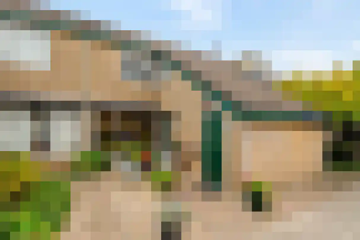 Zeggegors 15 Mijnsheerenland