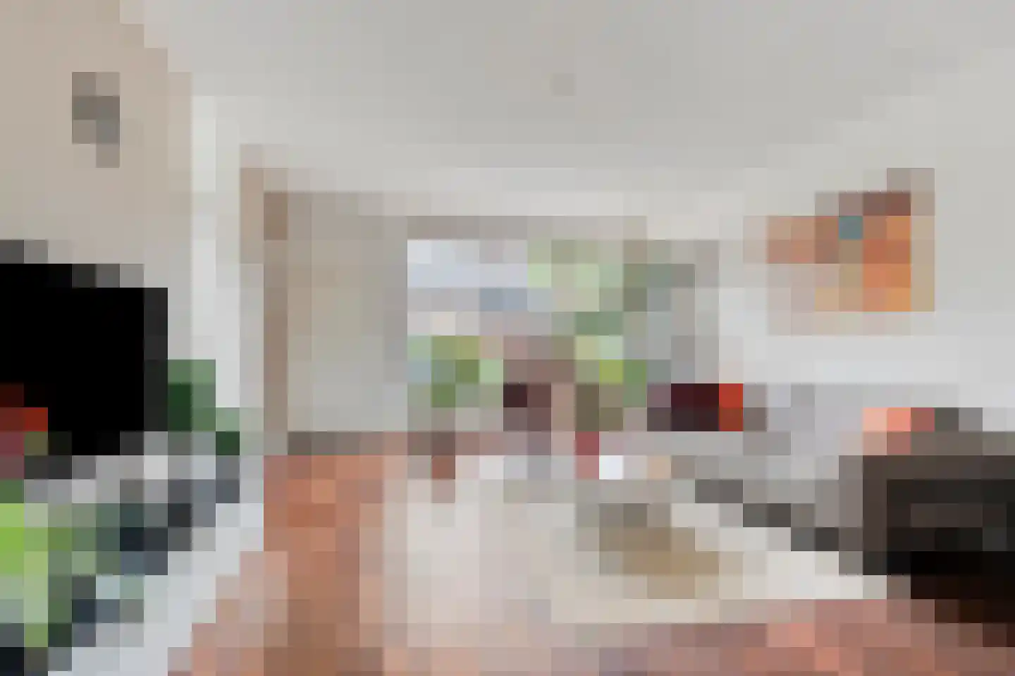 Zeggegors 15 Mijnsheerenland thumbnail 11