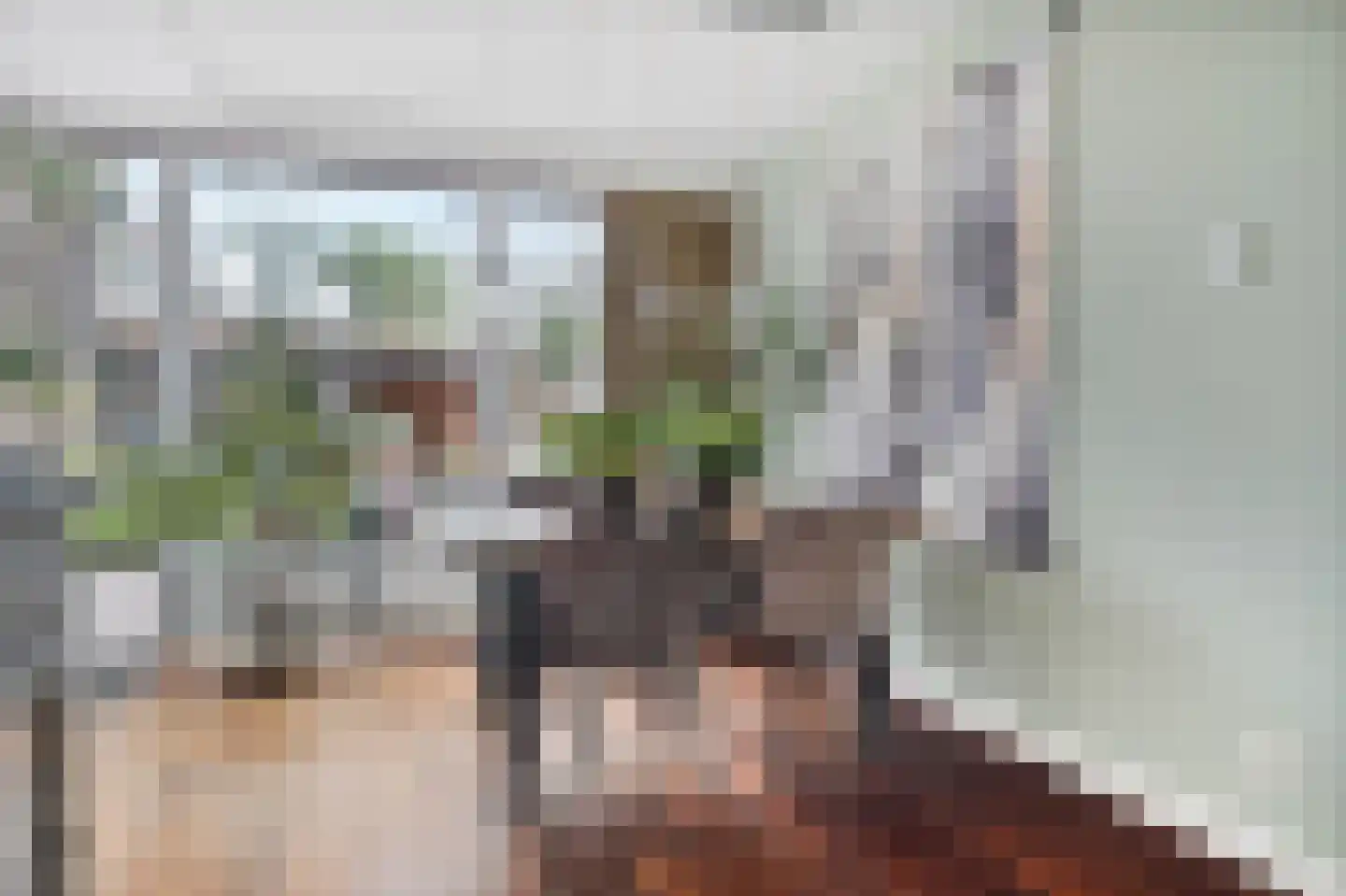 Zeggegors 15 Mijnsheerenland thumbnail 12