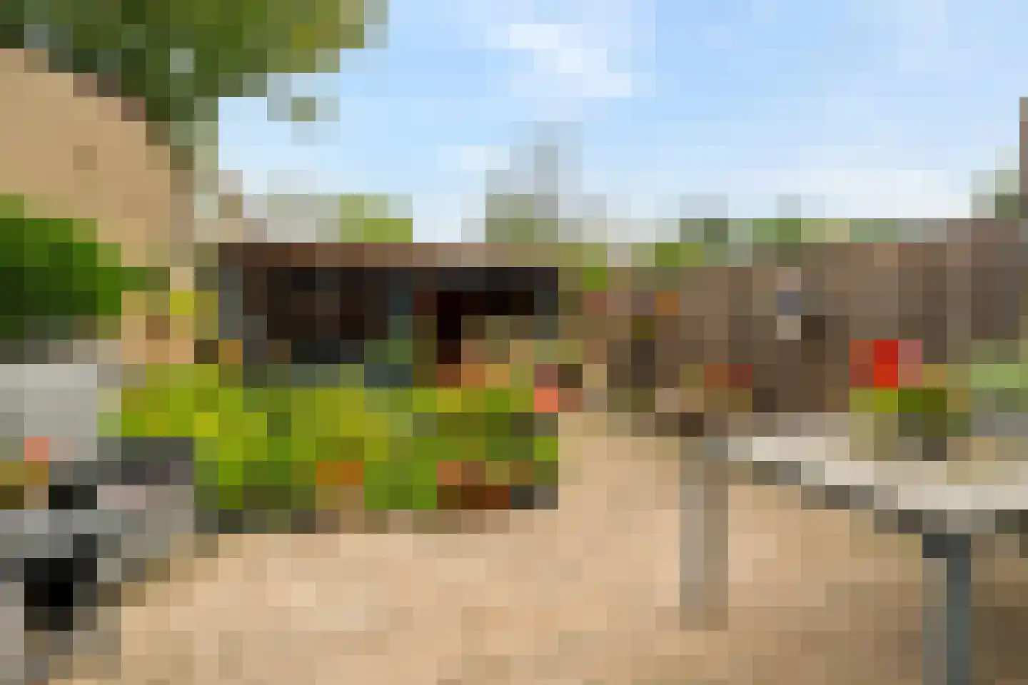 Zeggegors 15 Mijnsheerenland thumbnail 13