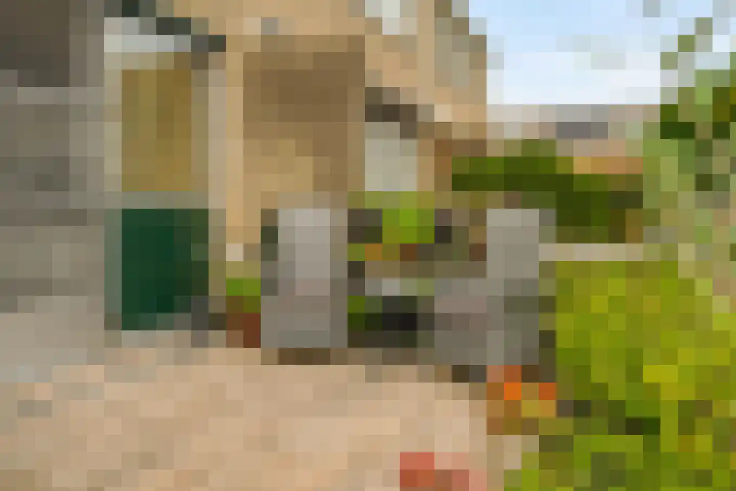 Zeggegors 15 Mijnsheerenland thumbnail 14