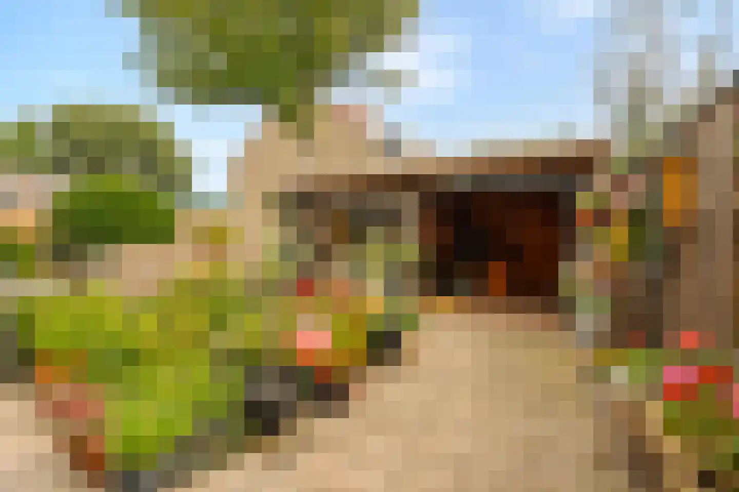Zeggegors 15 Mijnsheerenland thumbnail 15