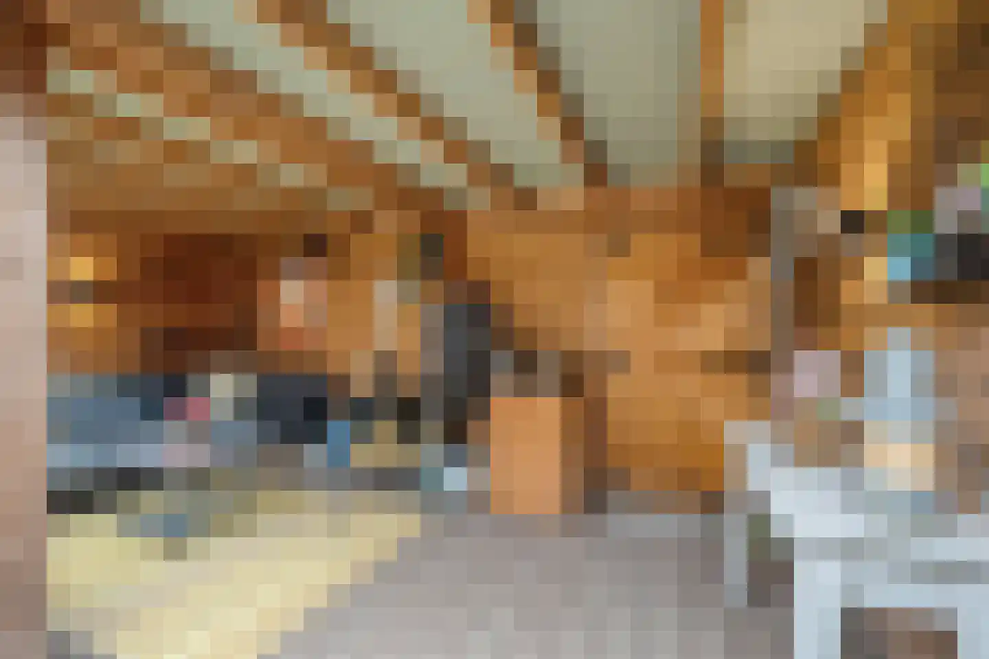 Zeggegors 15 Mijnsheerenland thumbnail 16