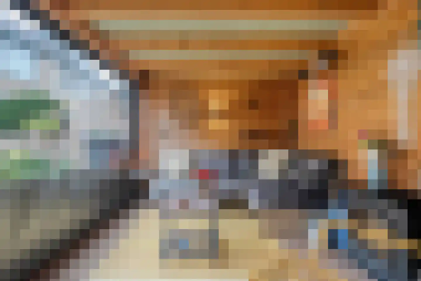 Zeggegors 15 Mijnsheerenland thumbnail 17