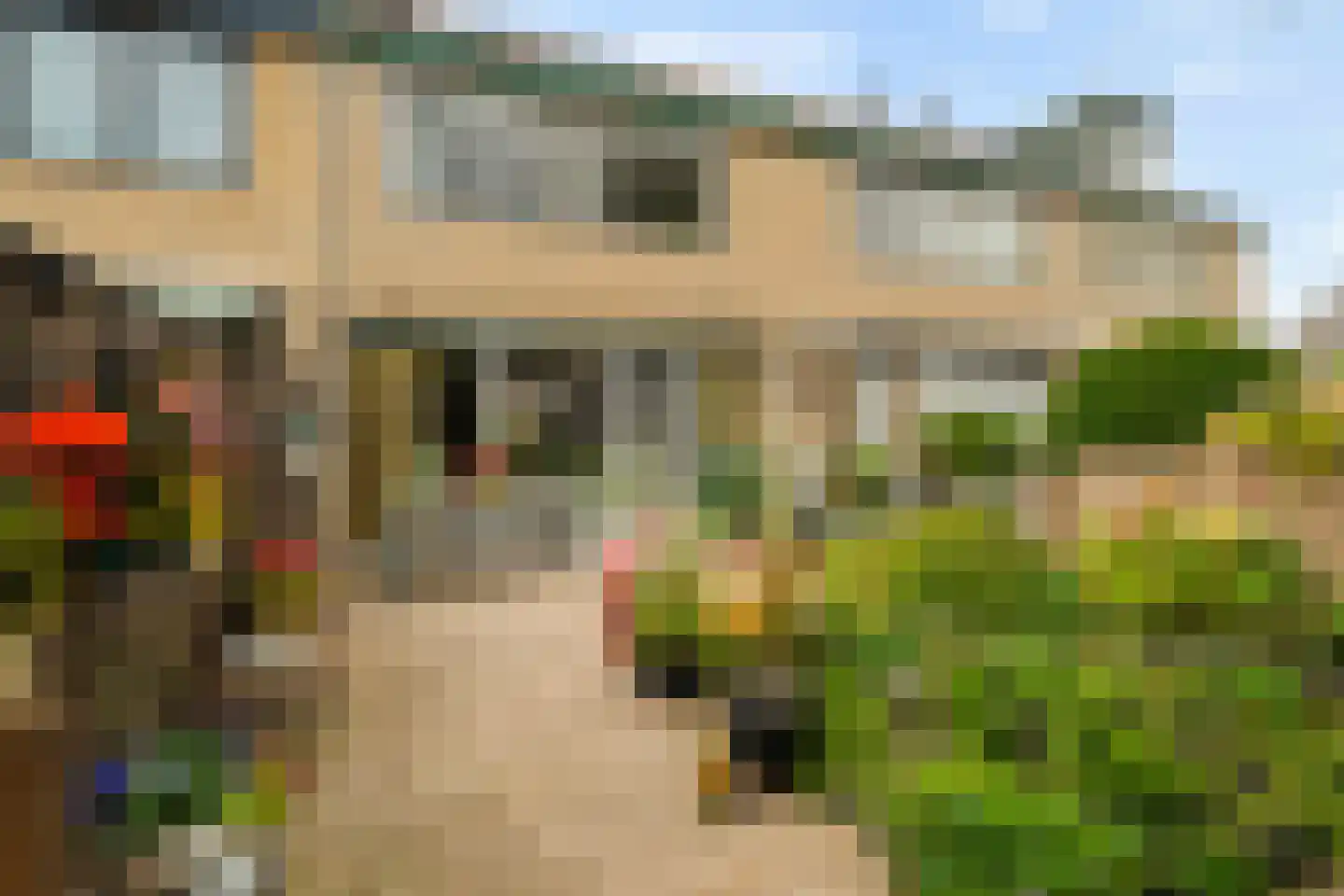 Zeggegors 15 Mijnsheerenland thumbnail 18