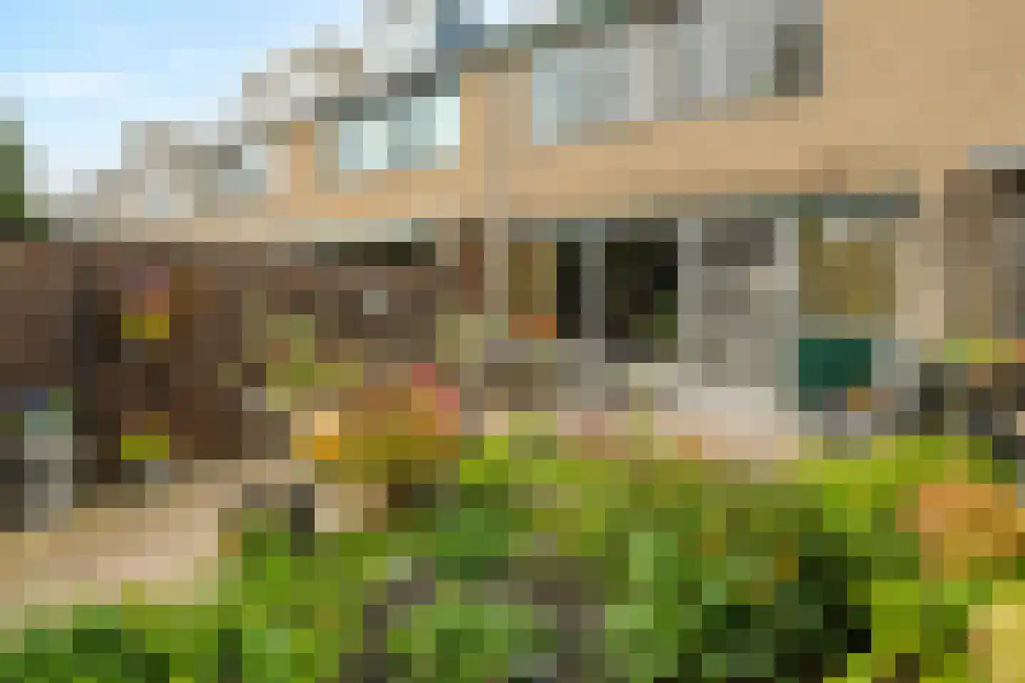 Zeggegors 15 Mijnsheerenland thumbnail 19
