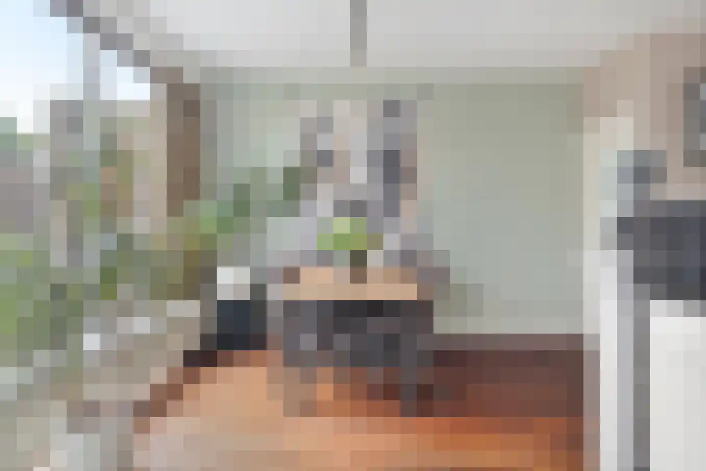 Zeggegors 15 Mijnsheerenland thumbnail 20