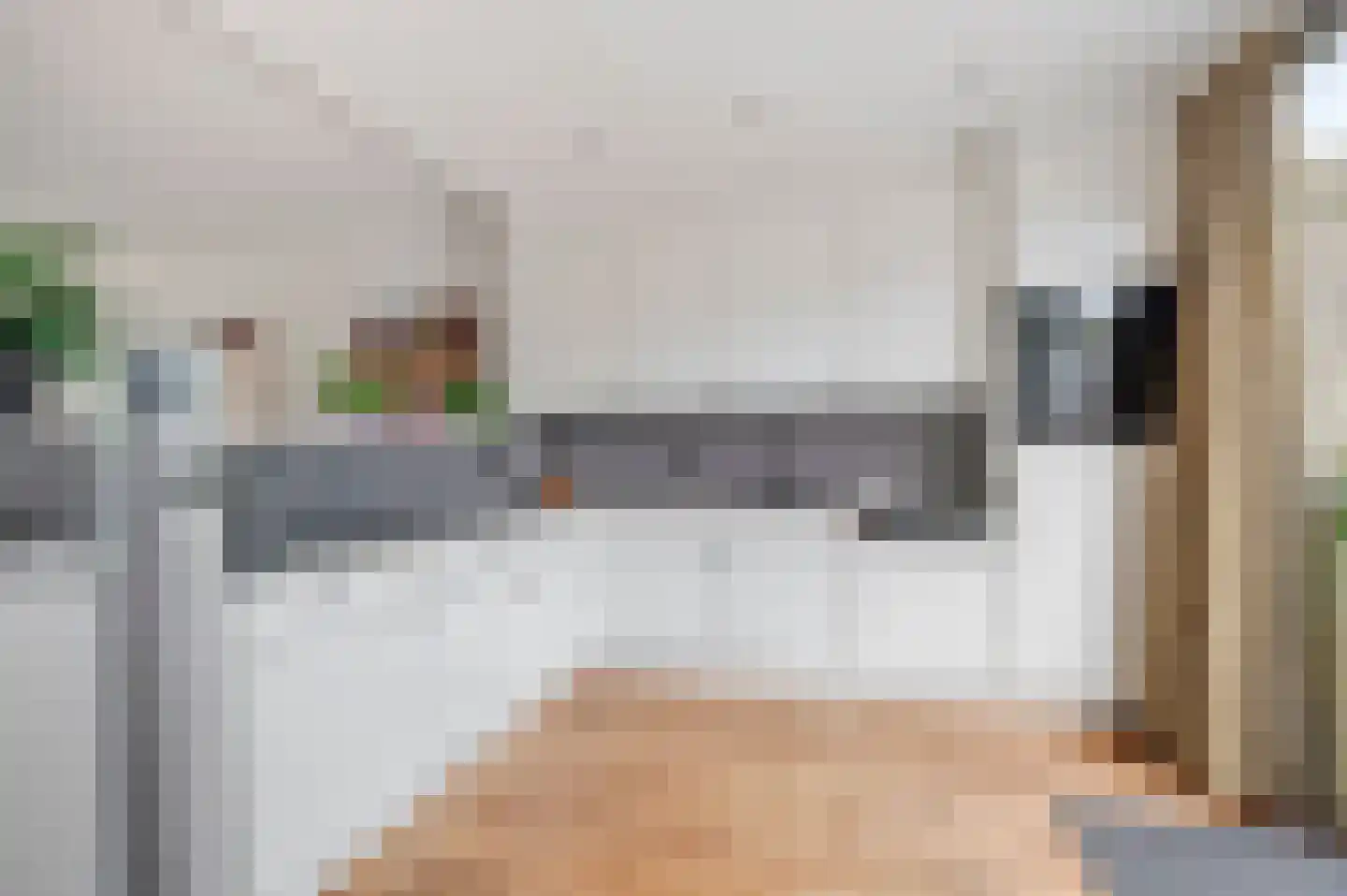 Zeggegors 15 Mijnsheerenland thumbnail 21