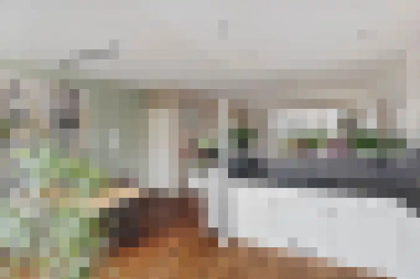 Zeggegors 15 Mijnsheerenland thumbnail 23