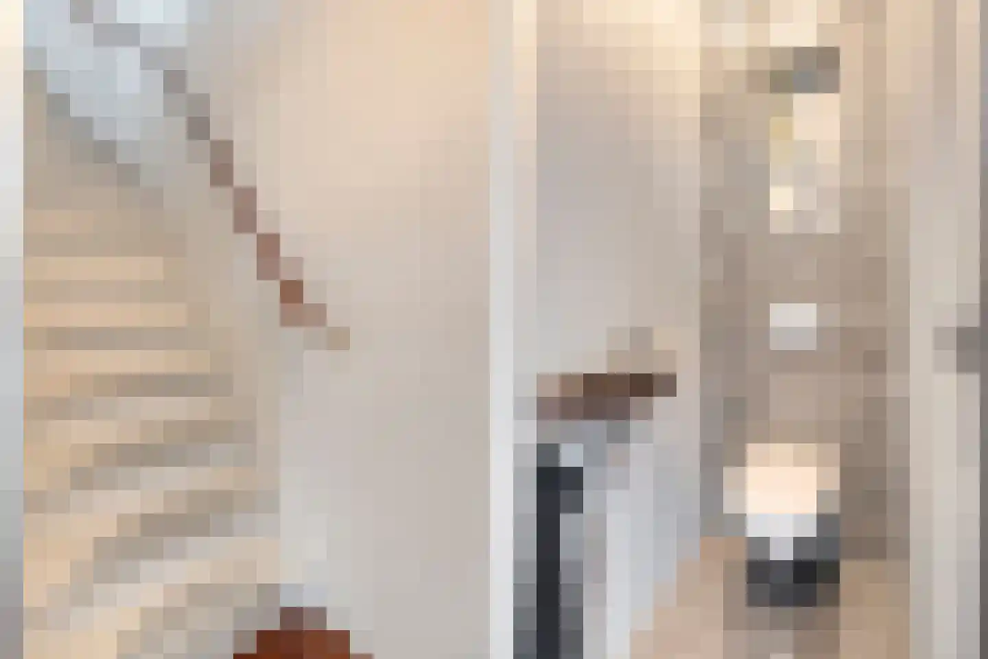 Zeggegors 15 Mijnsheerenland thumbnail 24