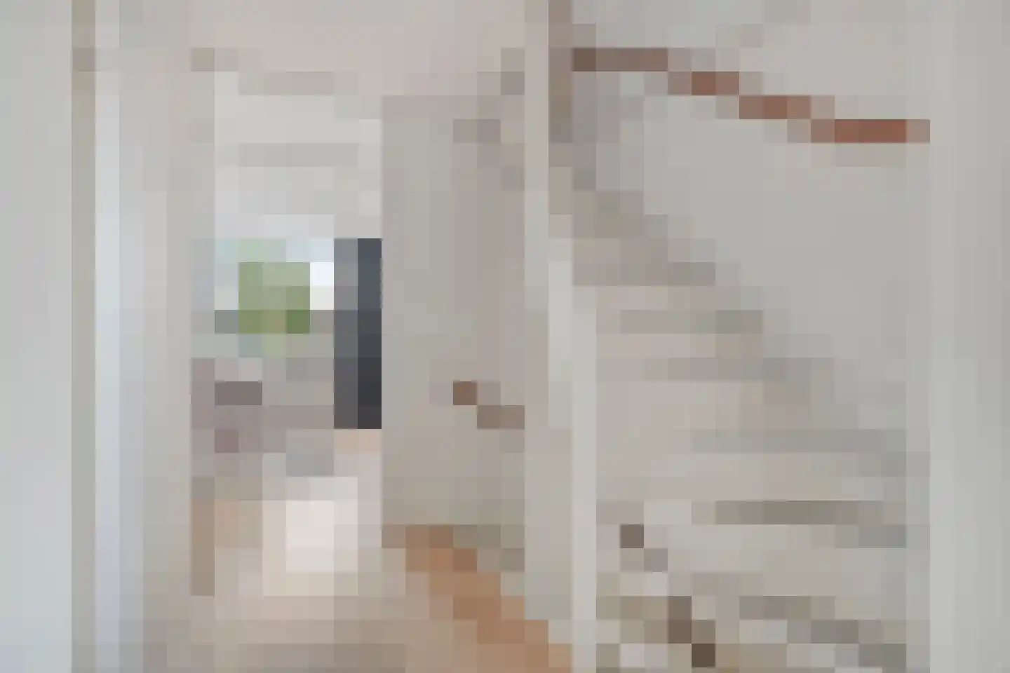 Zeggegors 15 Mijnsheerenland thumbnail 25