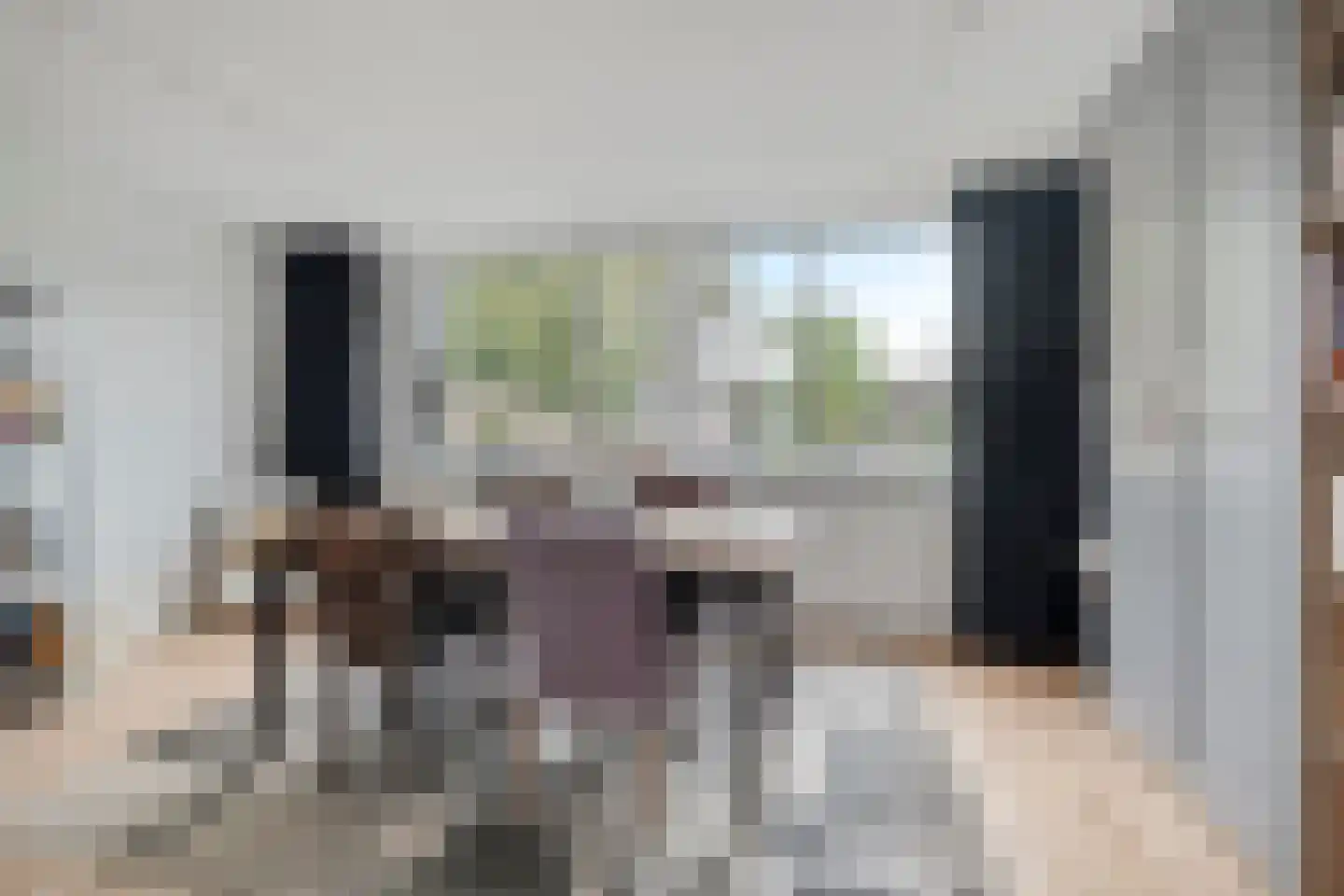 Zeggegors 15 Mijnsheerenland thumbnail 26
