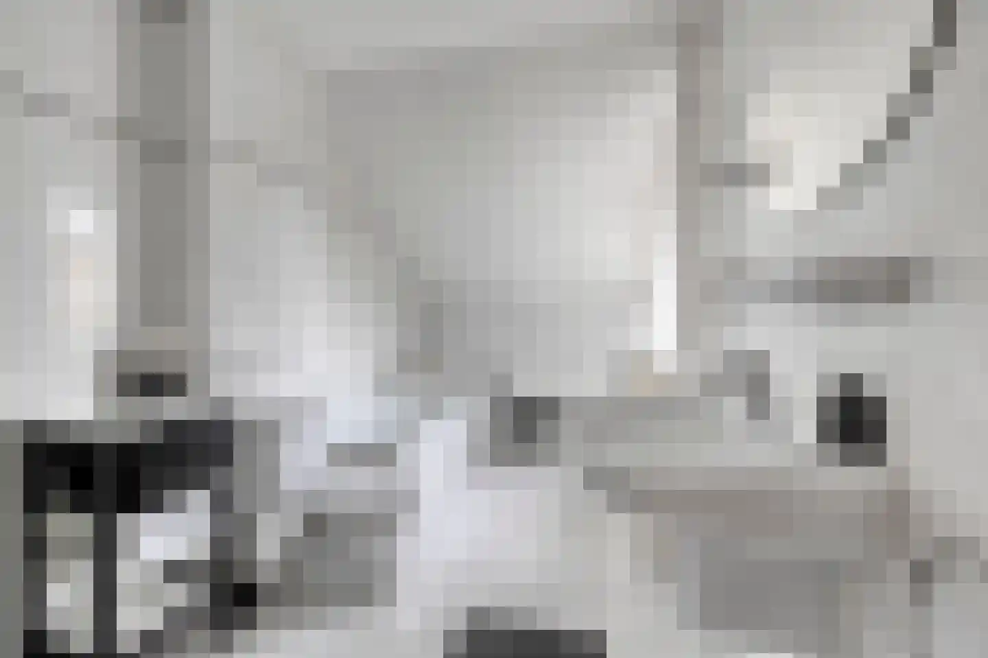 Zeggegors 15 Mijnsheerenland thumbnail 30