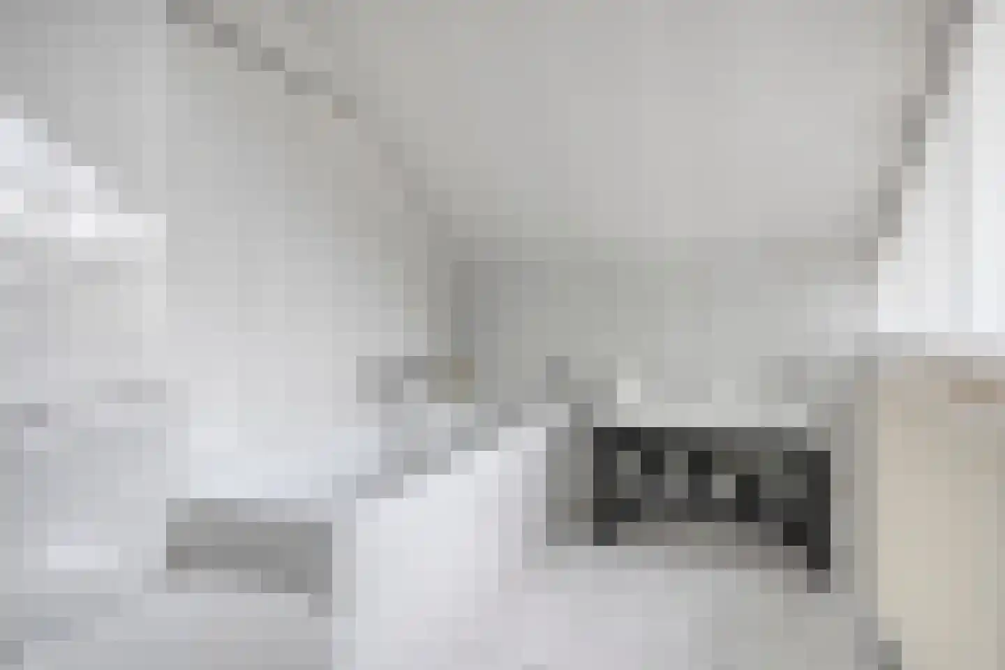 Zeggegors 15 Mijnsheerenland thumbnail 31
