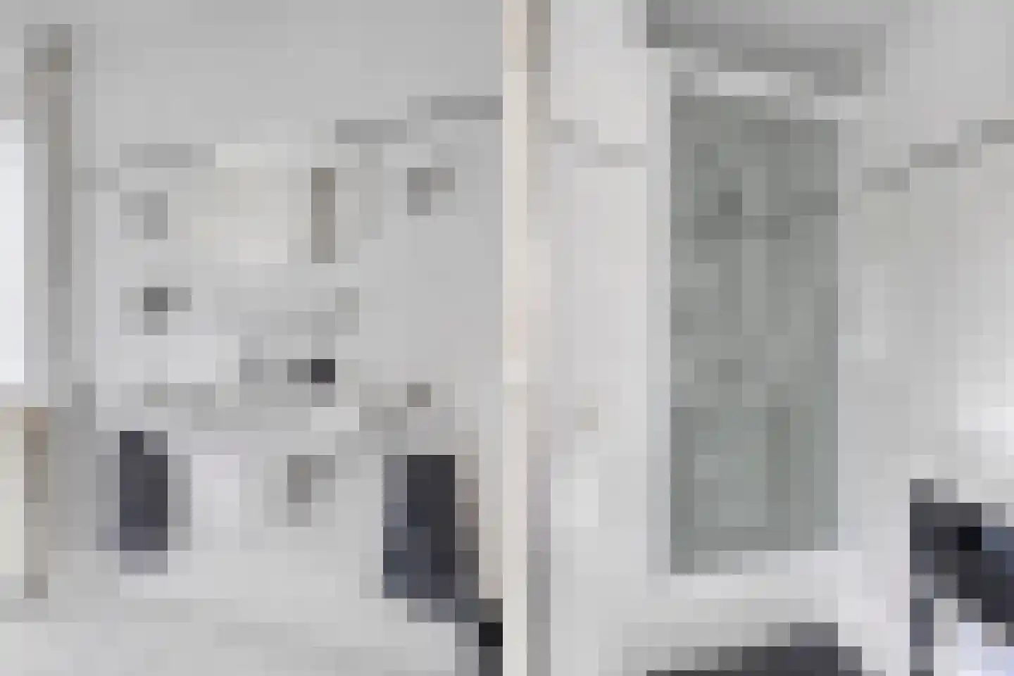 Zeggegors 15 Mijnsheerenland thumbnail 32