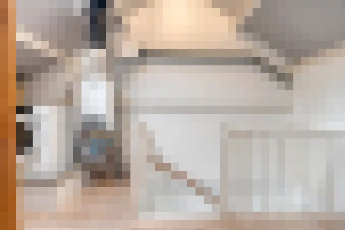 Zeggegors 15 Mijnsheerenland thumbnail 33