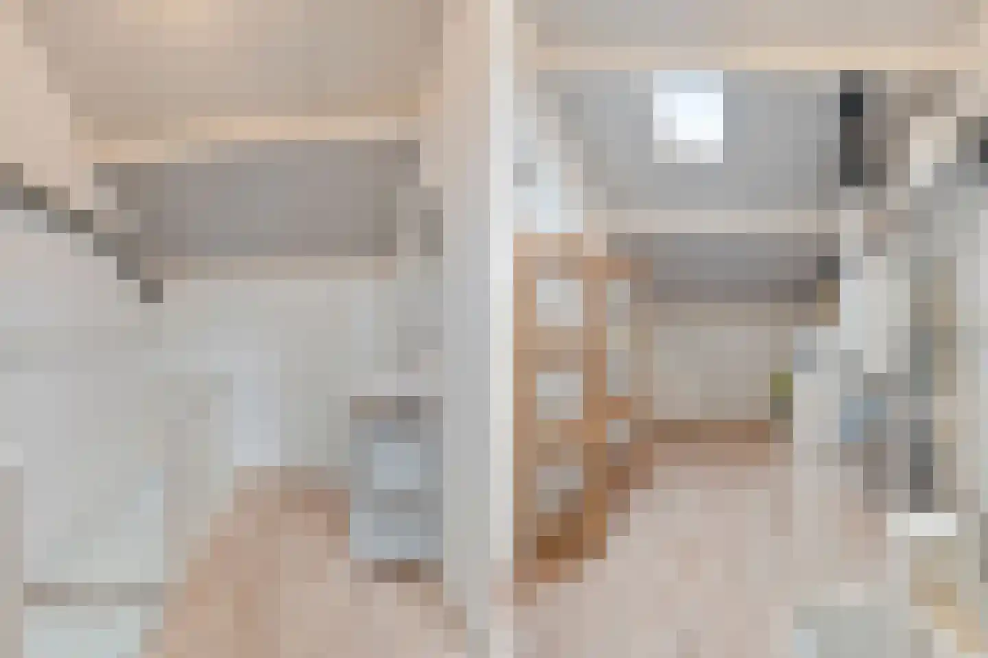 Zeggegors 15 Mijnsheerenland thumbnail 34