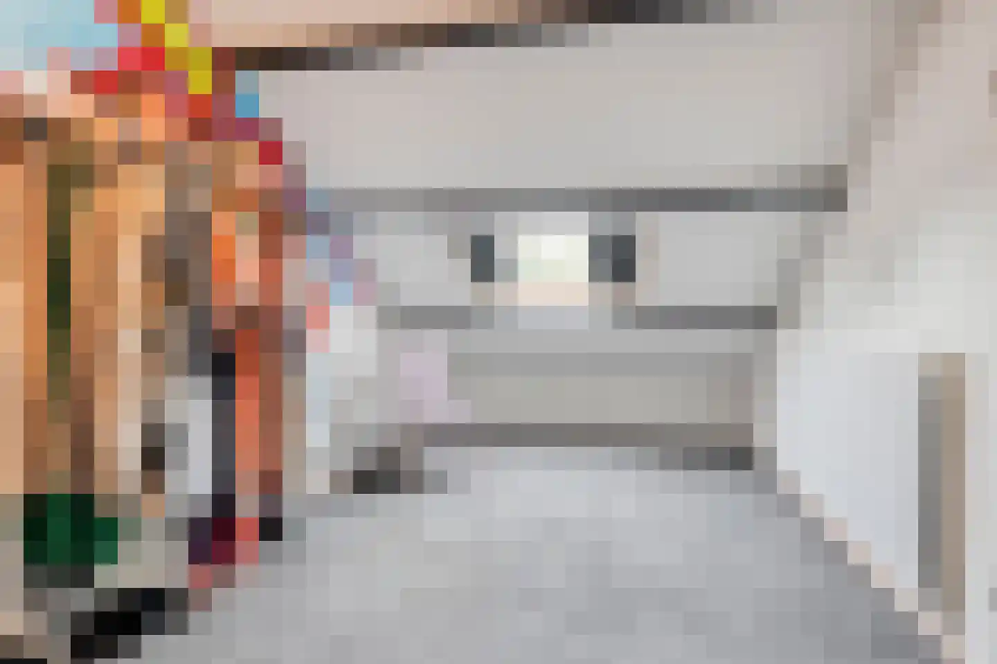 Zeggegors 15 Mijnsheerenland thumbnail 37