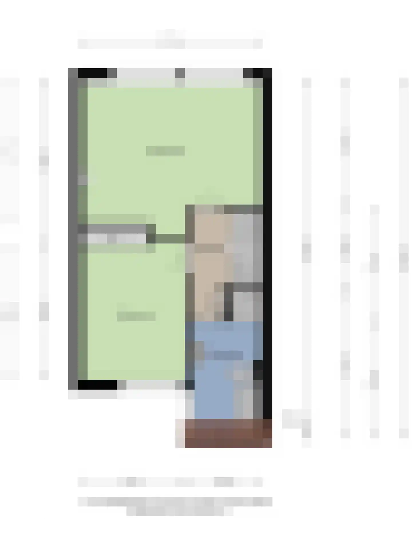 Zeggegors 15 Mijnsheerenland thumbnail 42