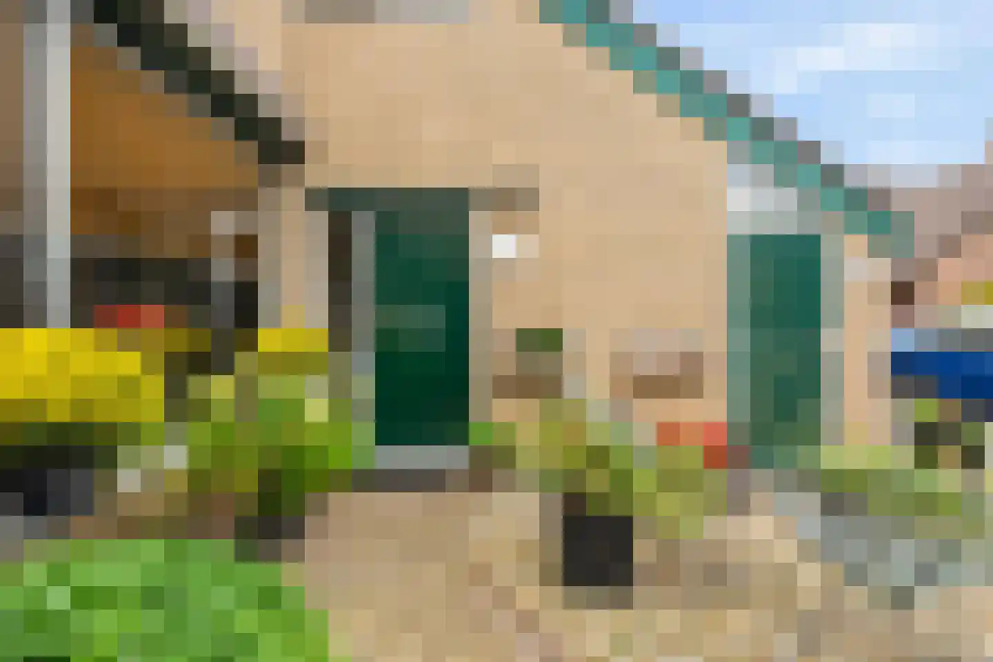 Zeggegors 15 Mijnsheerenland thumbnail 6