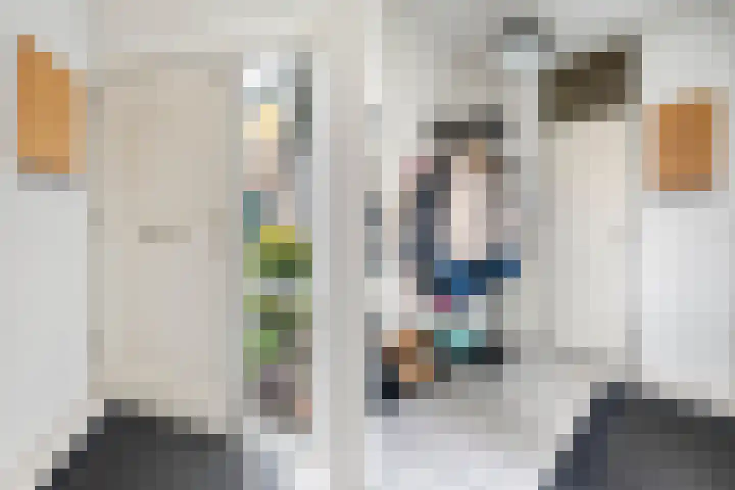 Zeggegors 15 Mijnsheerenland thumbnail 7