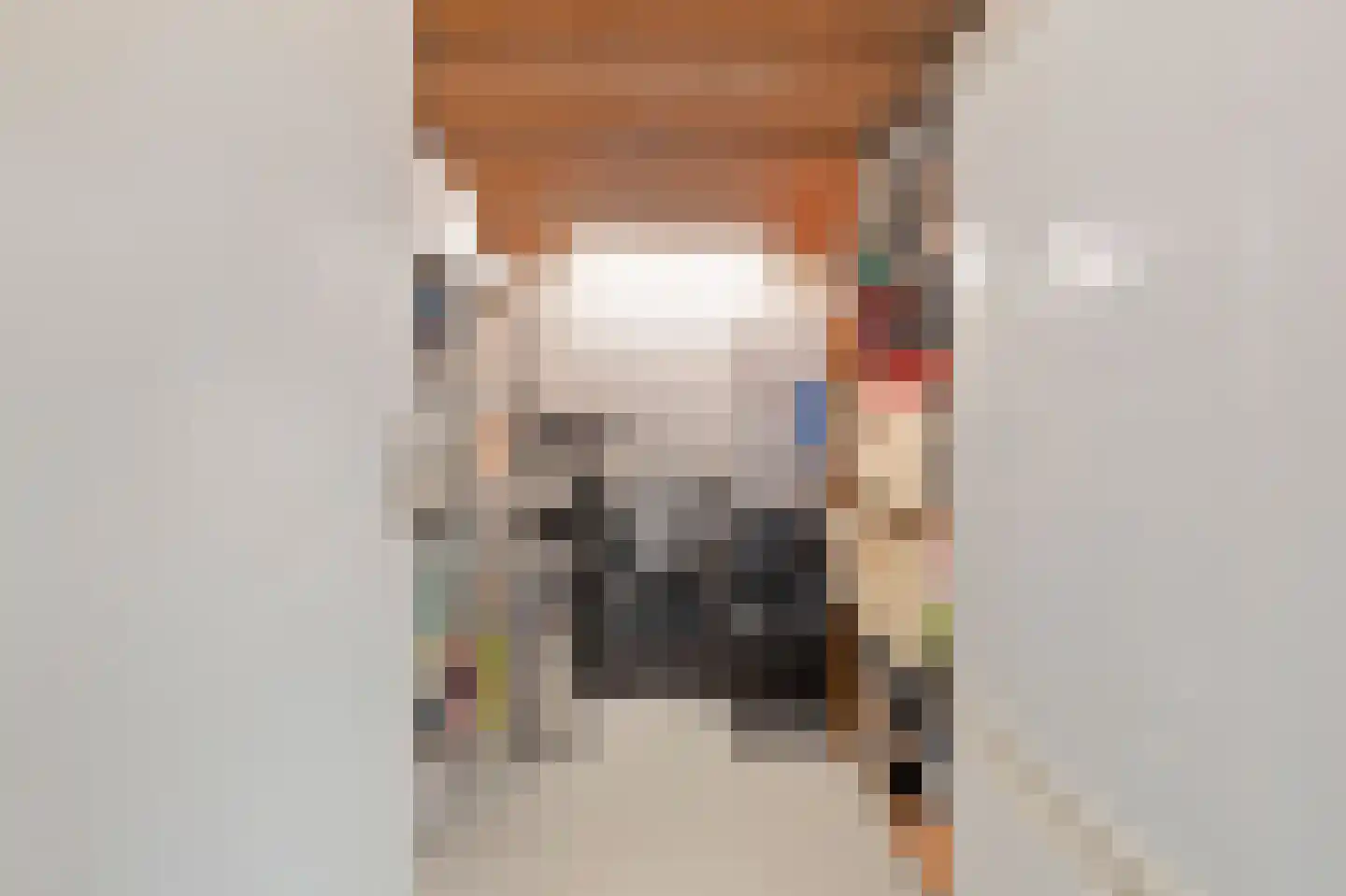 Zeggegors 15 Mijnsheerenland thumbnail 8