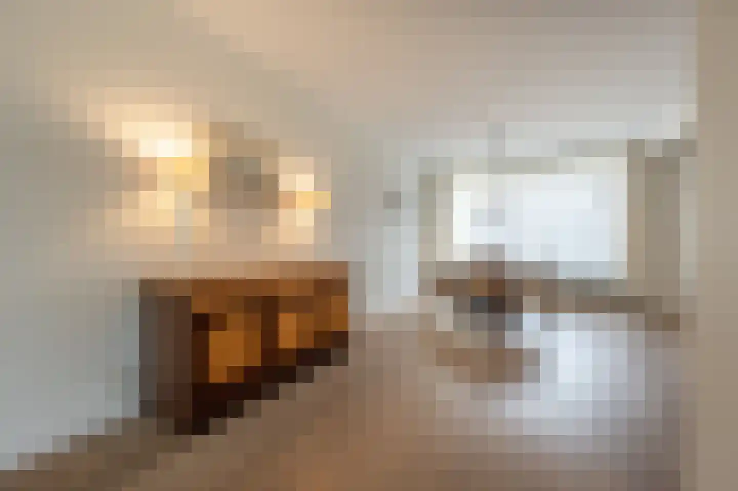 Zeggegors 16 Mijnsheerenland thumbnail 10