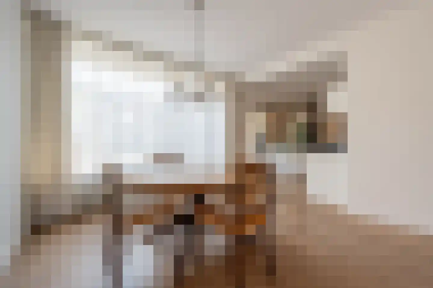Zeggegors 16 Mijnsheerenland thumbnail 11